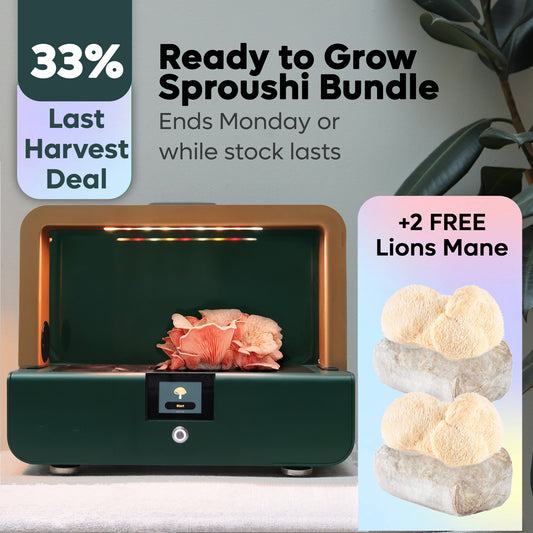 Sproushi Forest Green | Ready to Grow