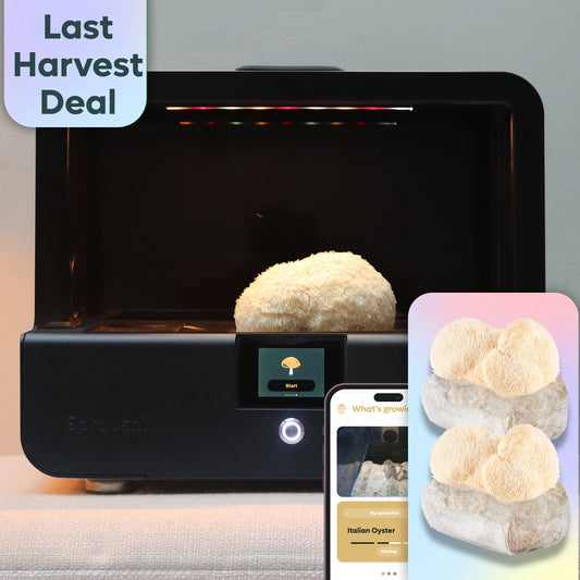 Sproushi Matte Black | Ready to Grow