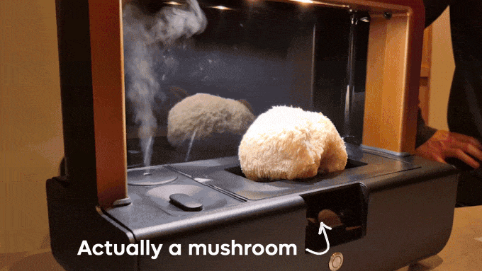 Sproushi Forest Green | Ready to Grow