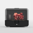 Load image into Gallery viewer, Sproushi - Matte Black
