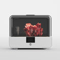 Load image into Gallery viewer, Sproushi - Pearl White
