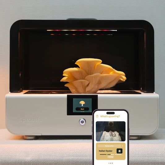 Sproushi - Pearl White